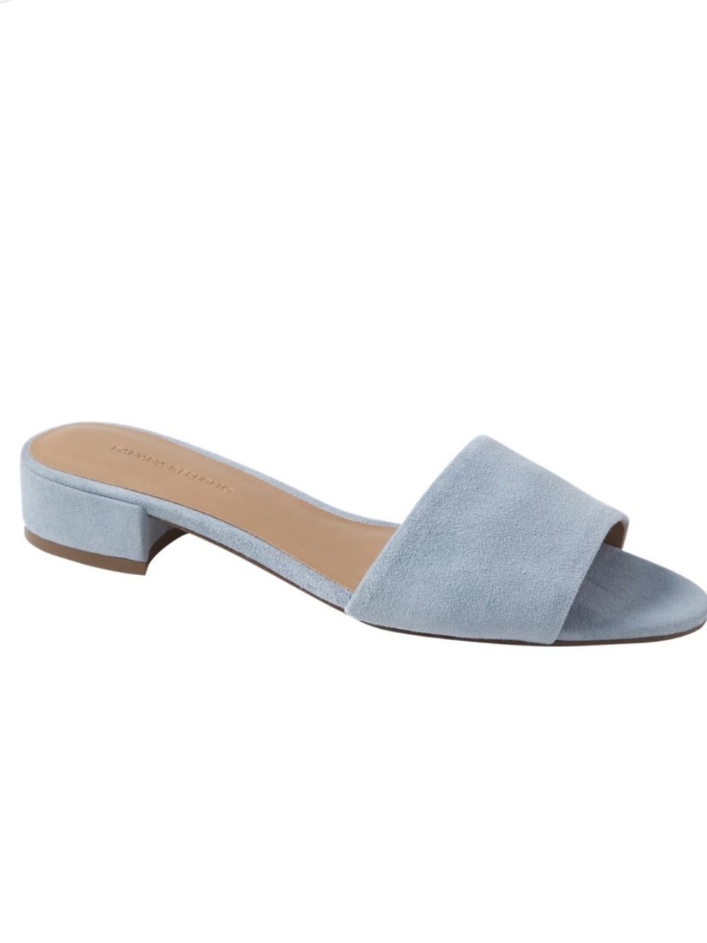 Banana Republic Powder Blue Suede Slide Mule